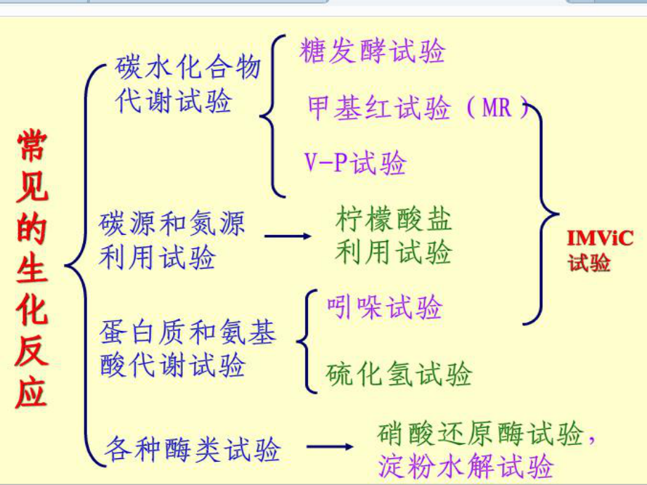 细菌的生化试验2015...ppt_第2页