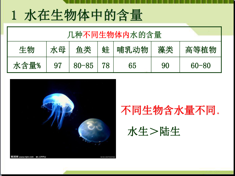 细胞中的无机物.ppt_第2页