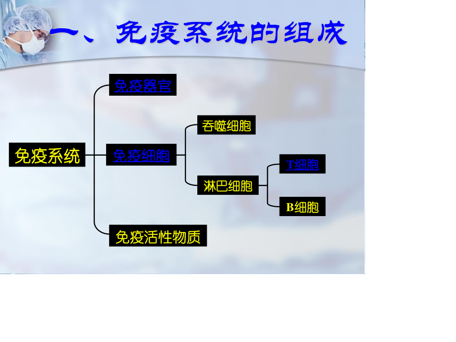 体液免疫的过程抗原吞噬细胞.ppt_第3页