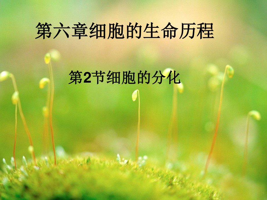 细胞分化.ppt_第1页