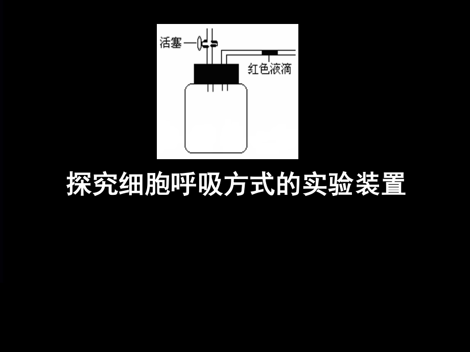 细胞呼吸方式的判断.ppt_第1页