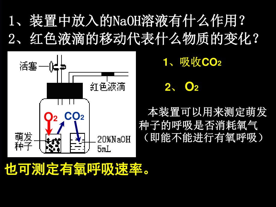 细胞呼吸方式的判断.ppt_第2页