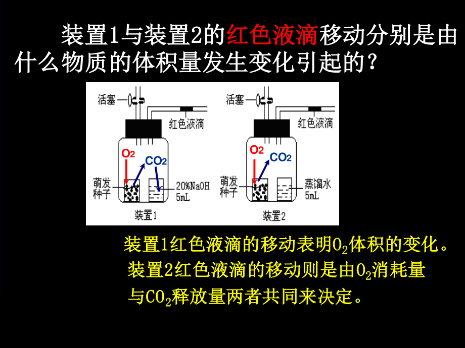 细胞呼吸方式的判断.ppt_第3页