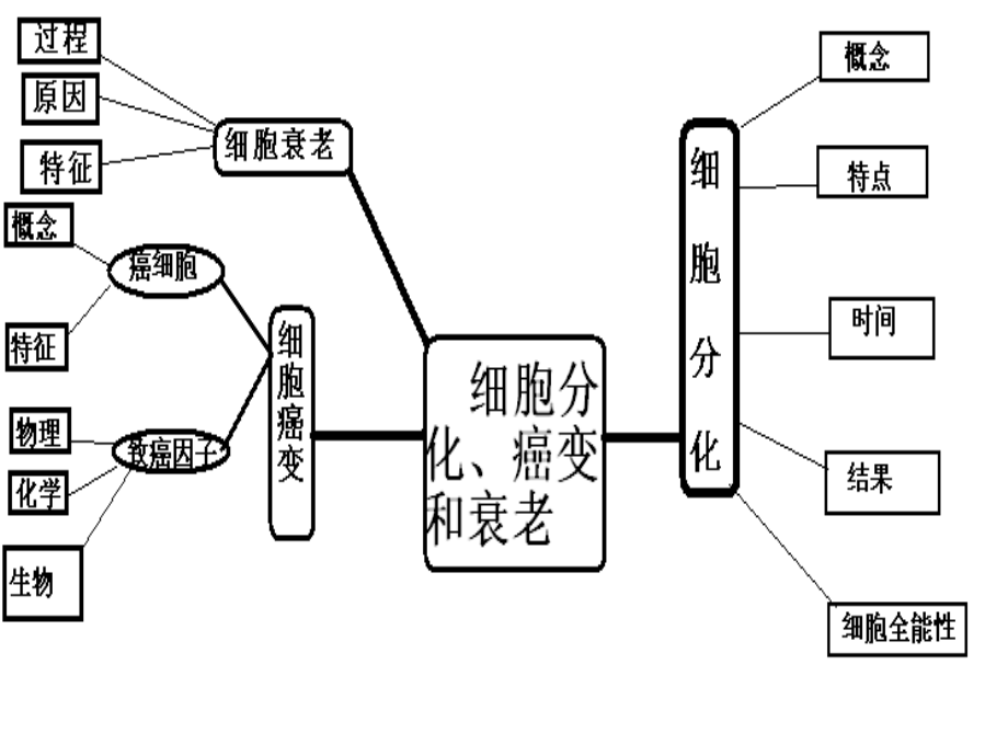 细胞结构与功能(五)细胞的分化、癌变和衰老.ppt_第2页