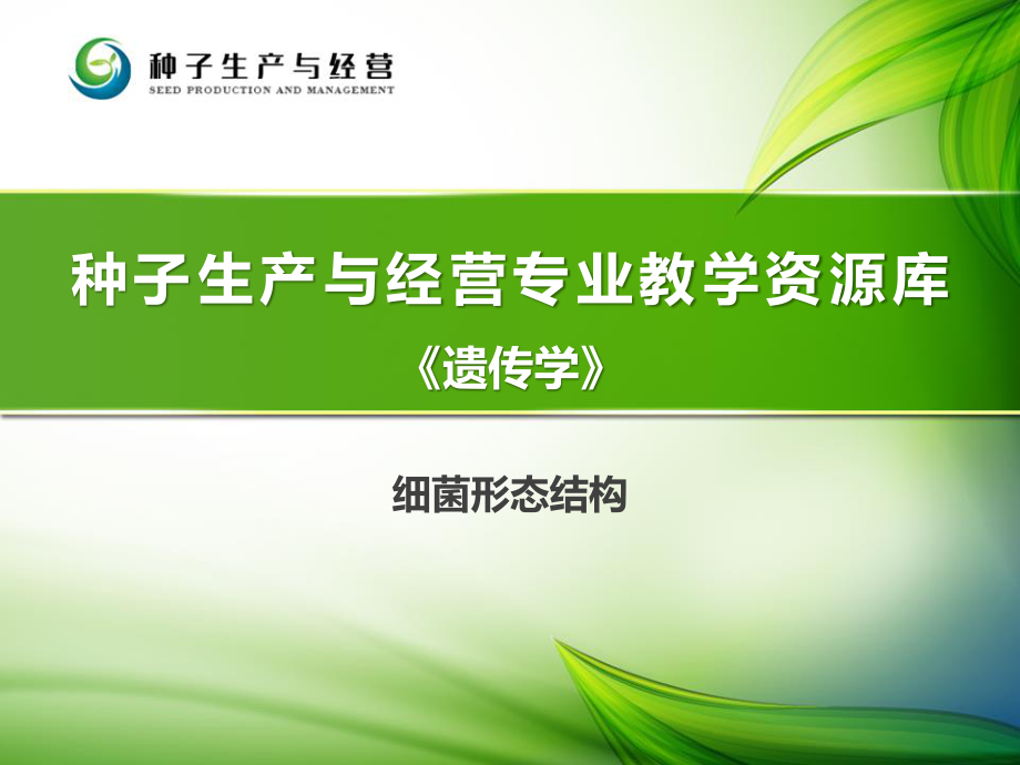 细菌形态结构..ppt_第1页