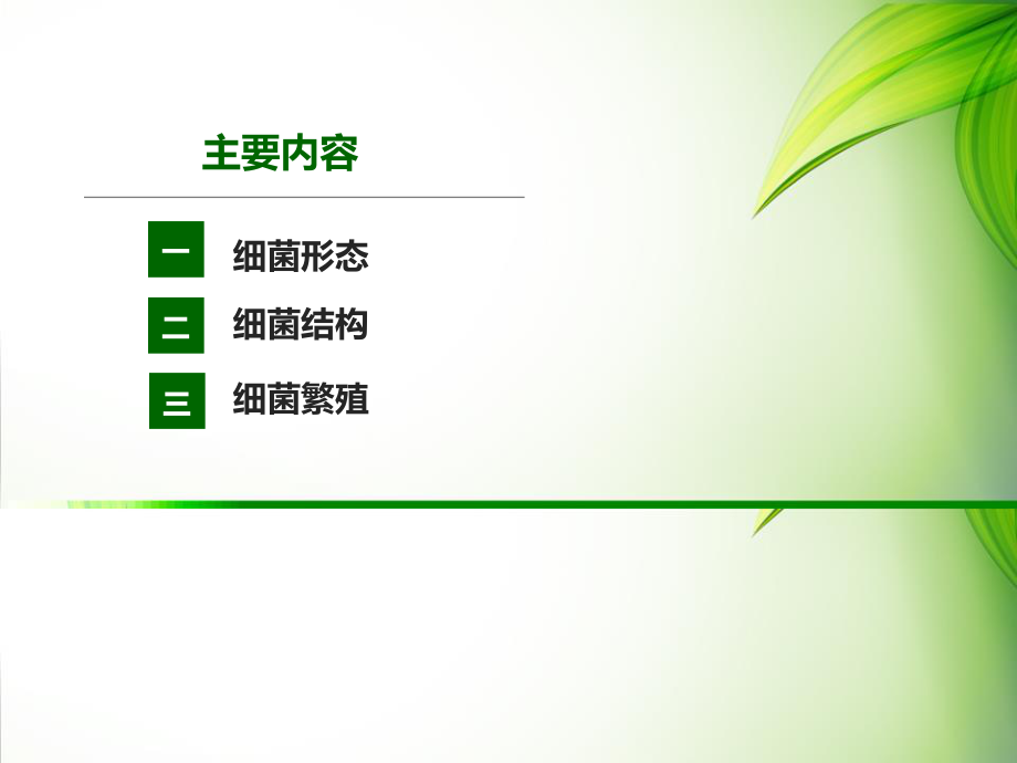 细菌形态结构..ppt_第2页