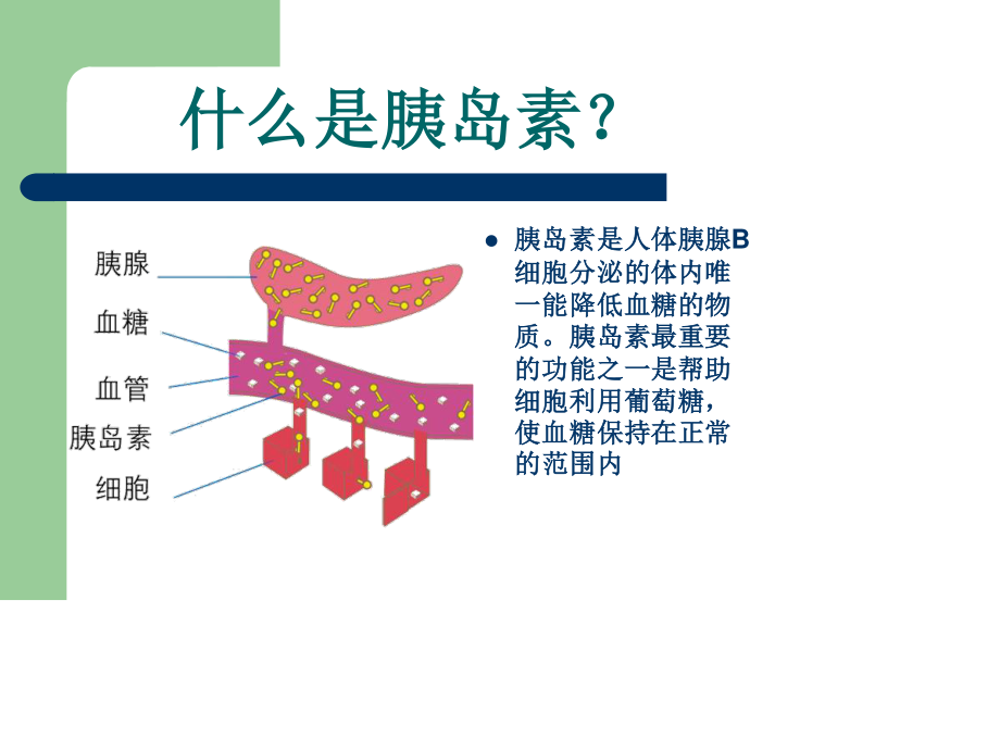 新胰岛素科普指南.ppt_第2页