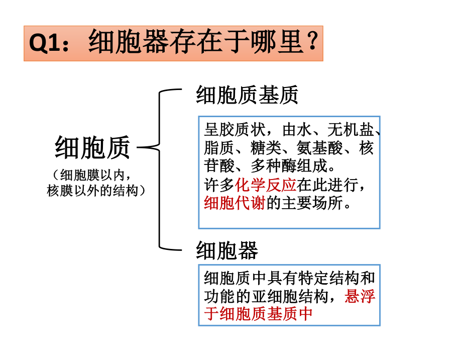 细胞器—系统内的分工与合作Z.ppt_第2页