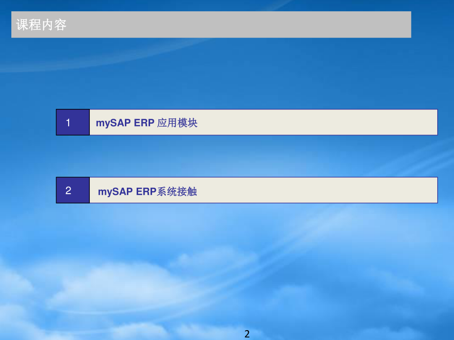 SAP概览培训Ver20.pptx_第2页