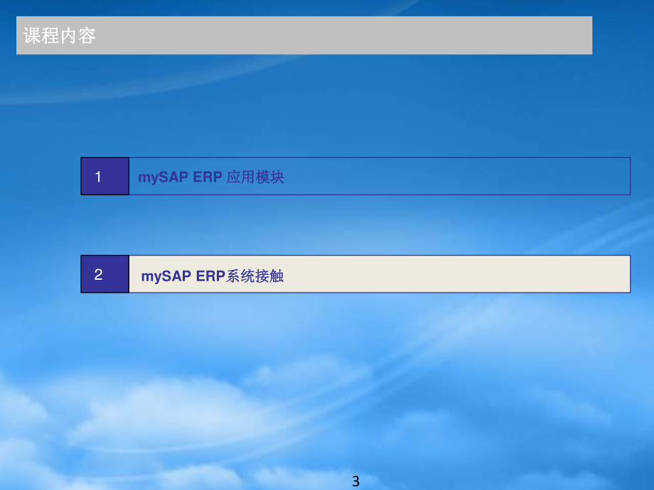SAP概览培训Ver20.pptx_第3页