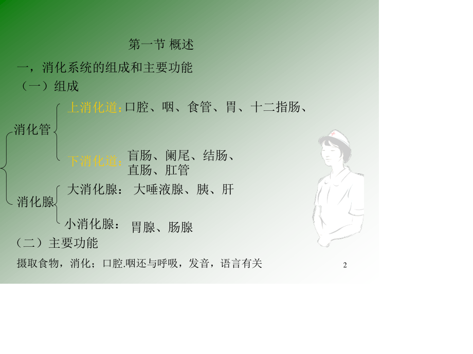 消化系统ppt.ppt_第2页