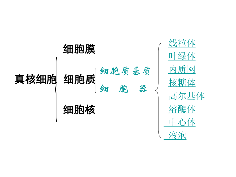 细胞器-系统内的合作分工.ppt_第1页