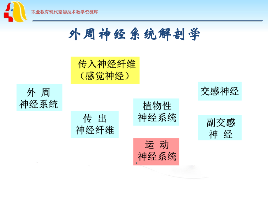 外周神经系统用药wk..ppt_第2页