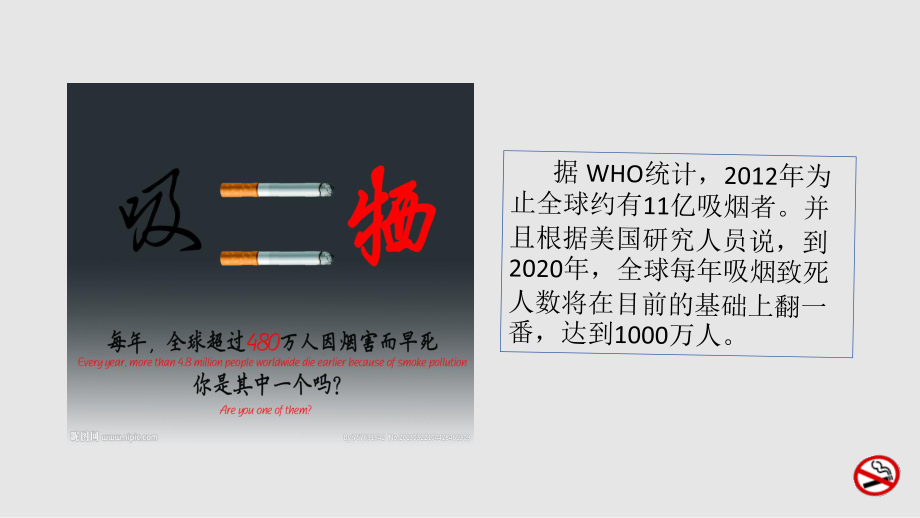 吸烟与健康知识讲座概要.ppt_第3页