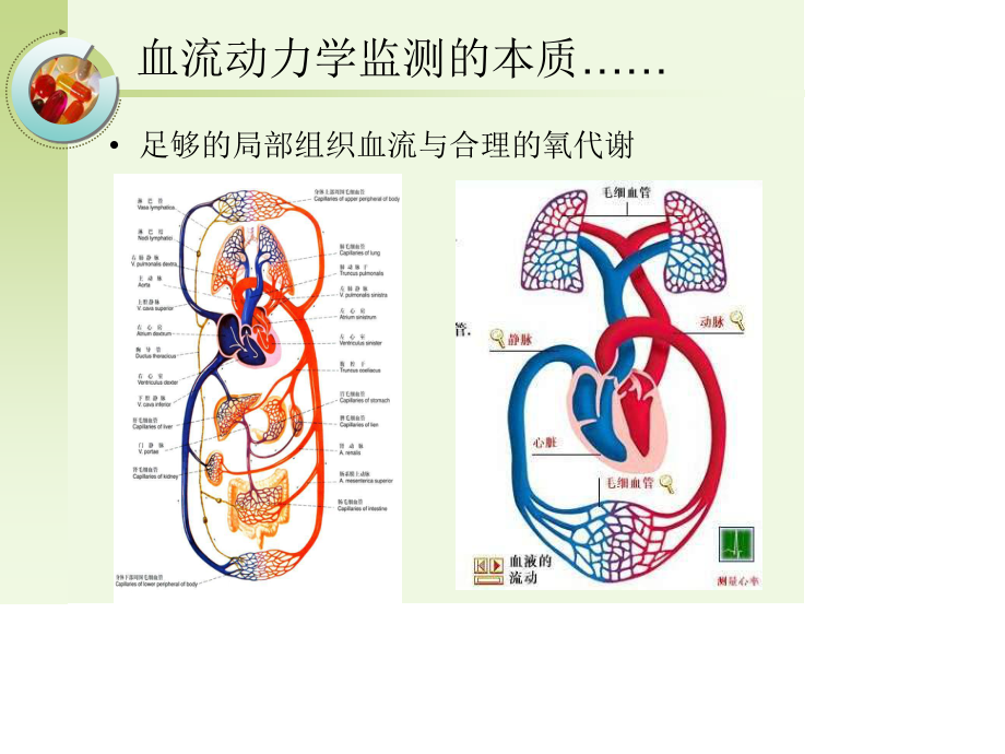 无创血流动力学的监测.ppt_第2页