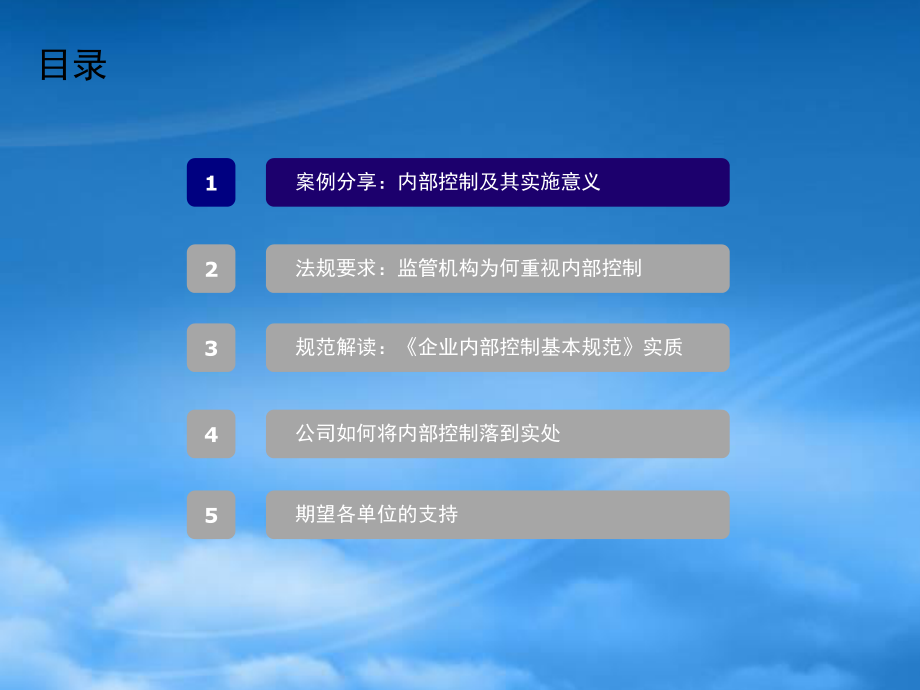 [精选]某电子公司企业内部控制基本规范实施培训.pptx_第2页