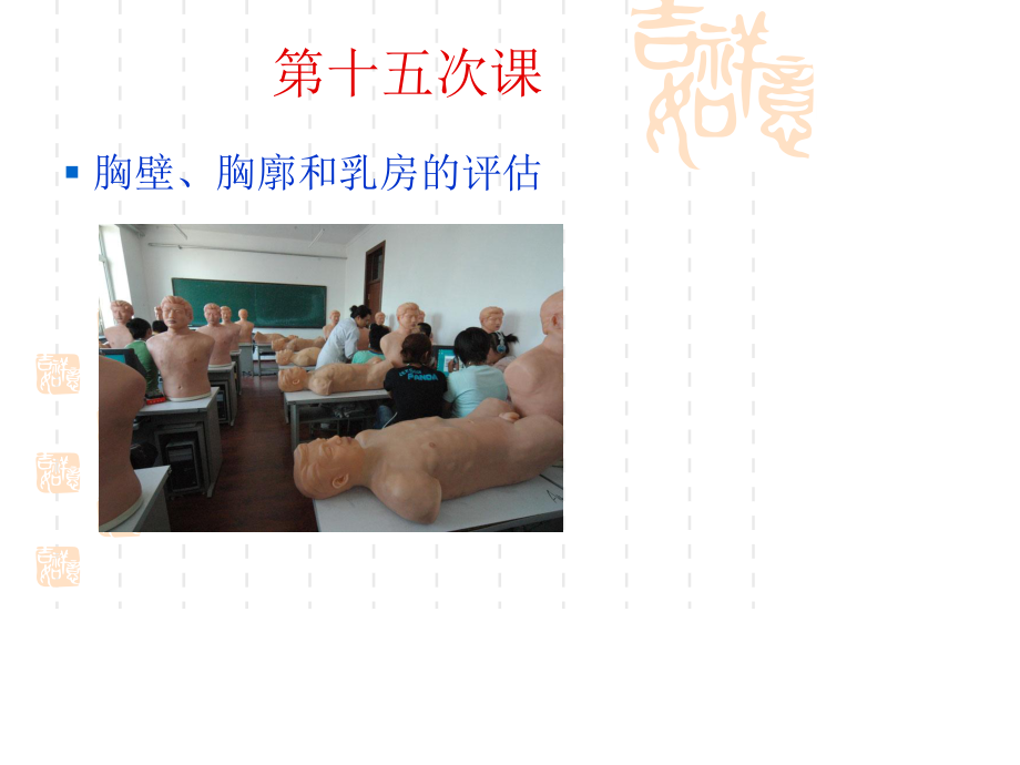 胸部评估检查.ppt_第1页