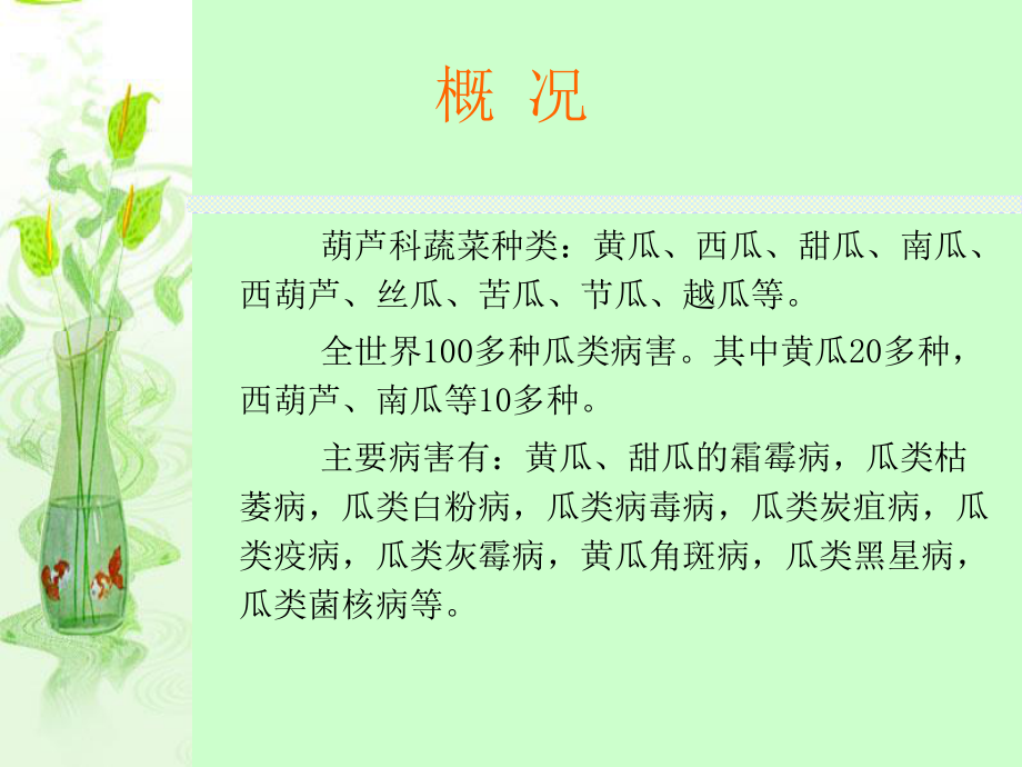 王琳葫芦科病害.ppt_第2页