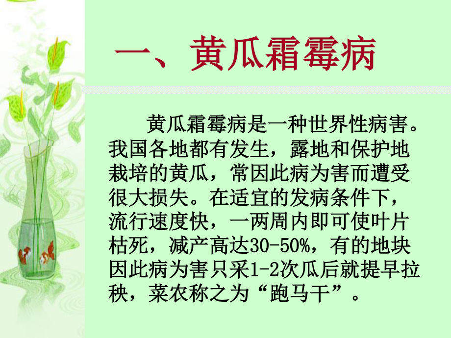 王琳葫芦科病害.ppt_第3页