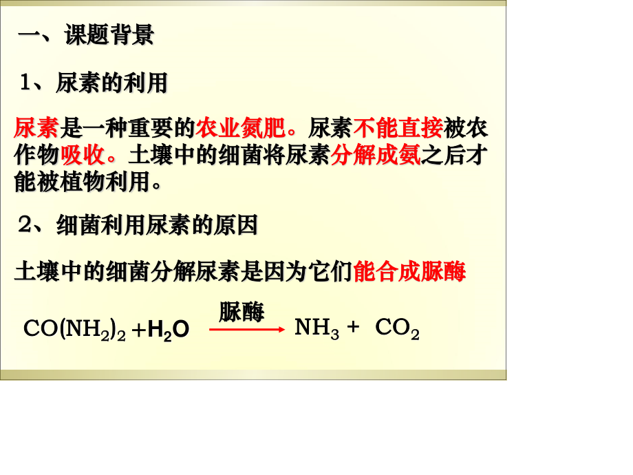 选修一2.2土壤中分解尿素的细菌的分离和计数.ppt_第2页