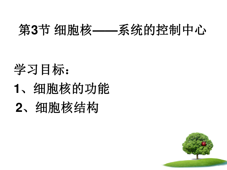 细胞核系统的调控中心(精).ppt_第1页