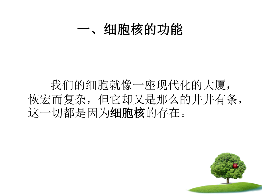 细胞核系统的调控中心(精).ppt_第2页