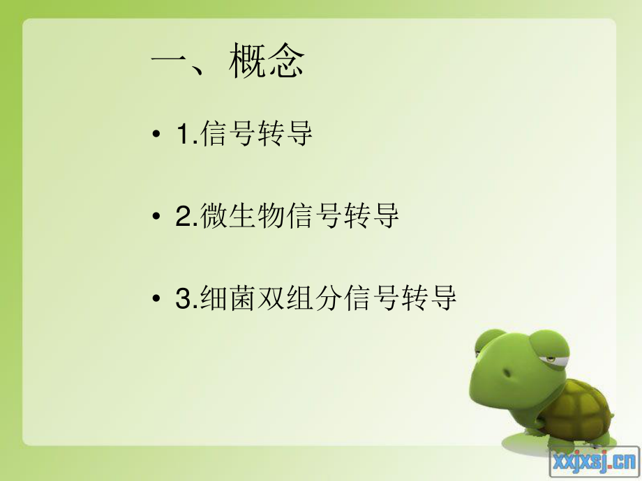 细菌内双组分信号传导.ppt_第2页