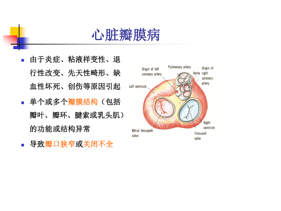 心脏瓣膜病个案2.ppt_第2页