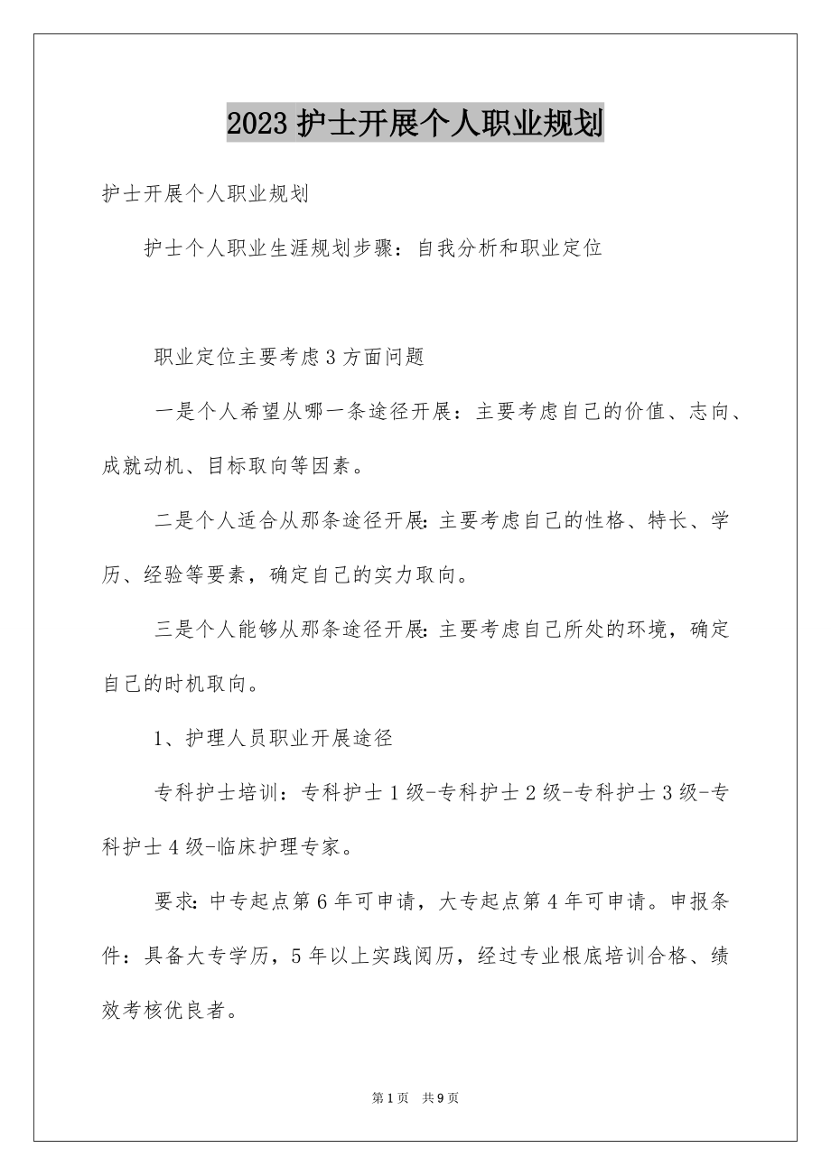 2023护士发展个人职业规划范文.docx_第1页