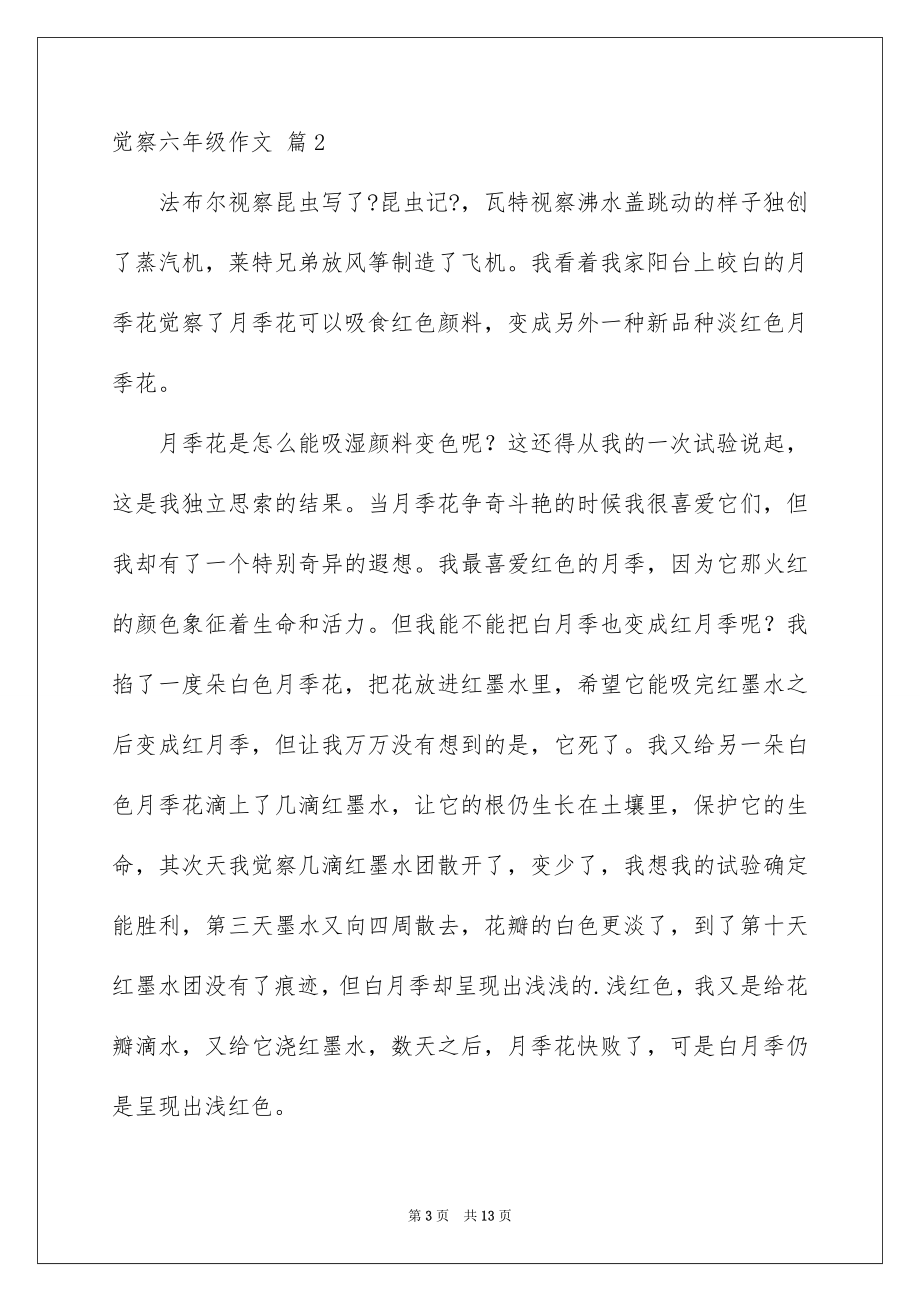 2023年发现六年级作文25.docx_第3页