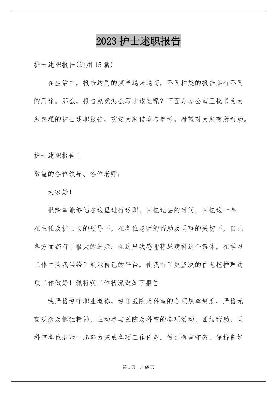 2023护士述职报告范文.docx_第1页