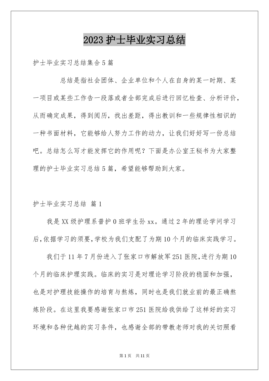 2023护士毕业实习总结2范文.docx_第1页