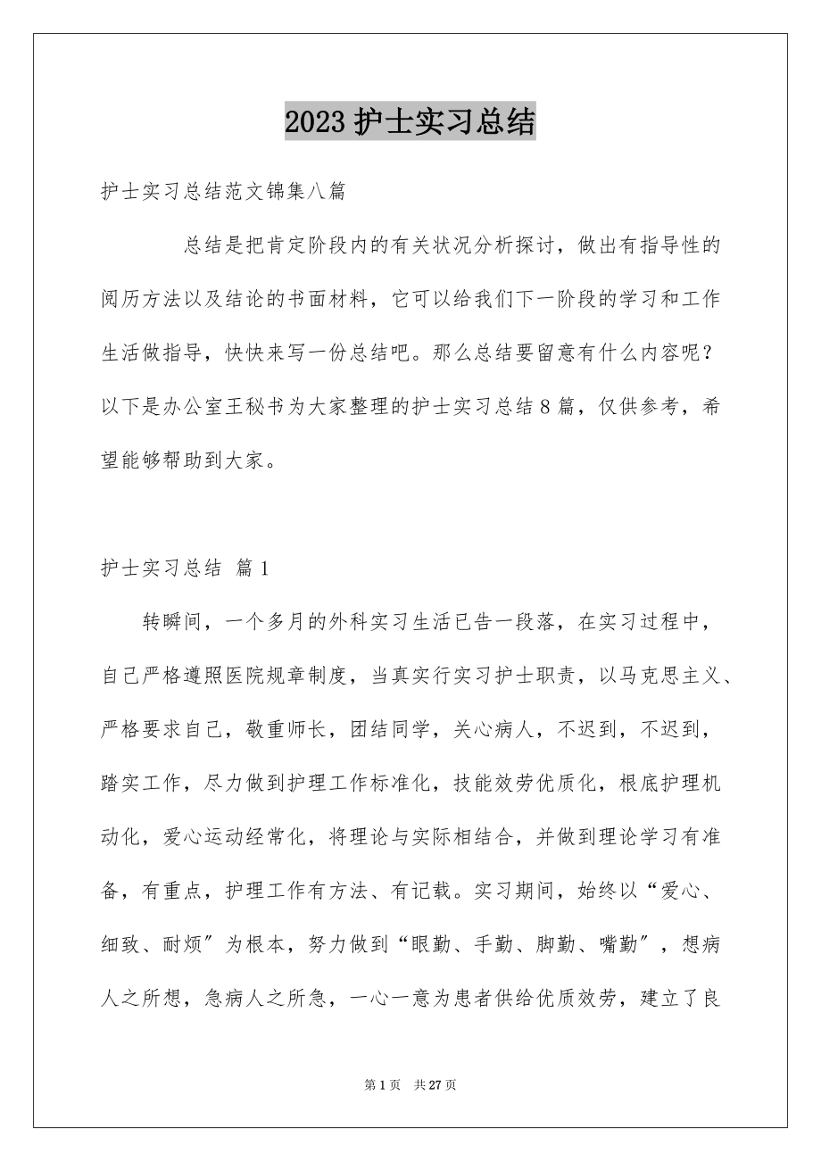 2023护士实习总结30范文.docx_第1页