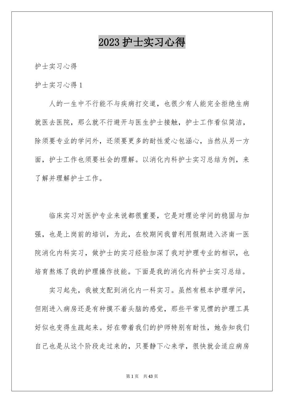 2023护士实习心得范文.docx_第1页