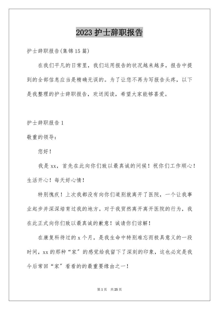 2023护士辞职报告313范文.docx_第1页