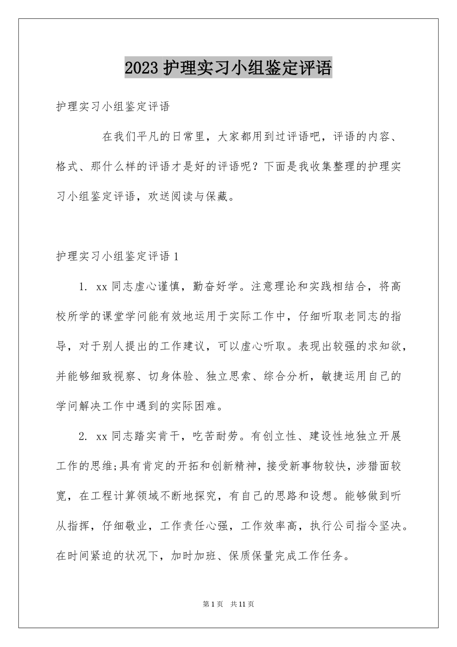 2023护理实习小组鉴定评语范文.docx_第1页