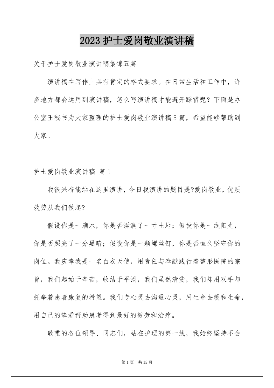 2023护士爱岗敬业演讲稿249范文.docx_第1页