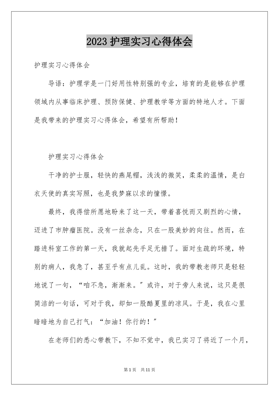 2023护理实习心得体会19范文.docx_第1页