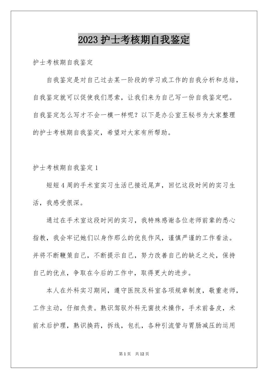 2023护士考核期自我鉴定范文.docx_第1页