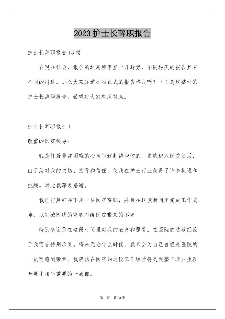 2023护士长辞职报告1范文.docx_第1页