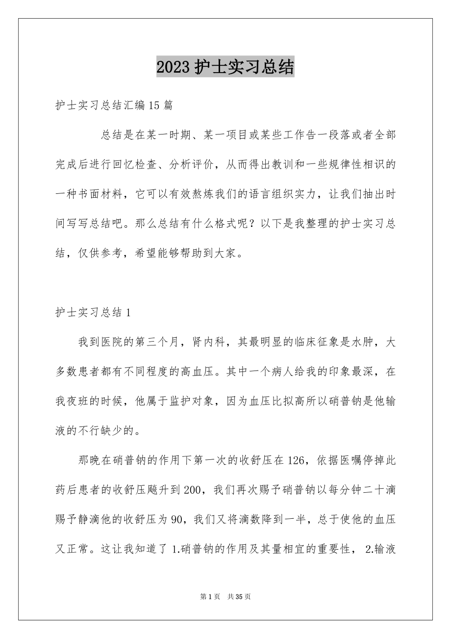 2023护士实习总结21范文.docx_第1页