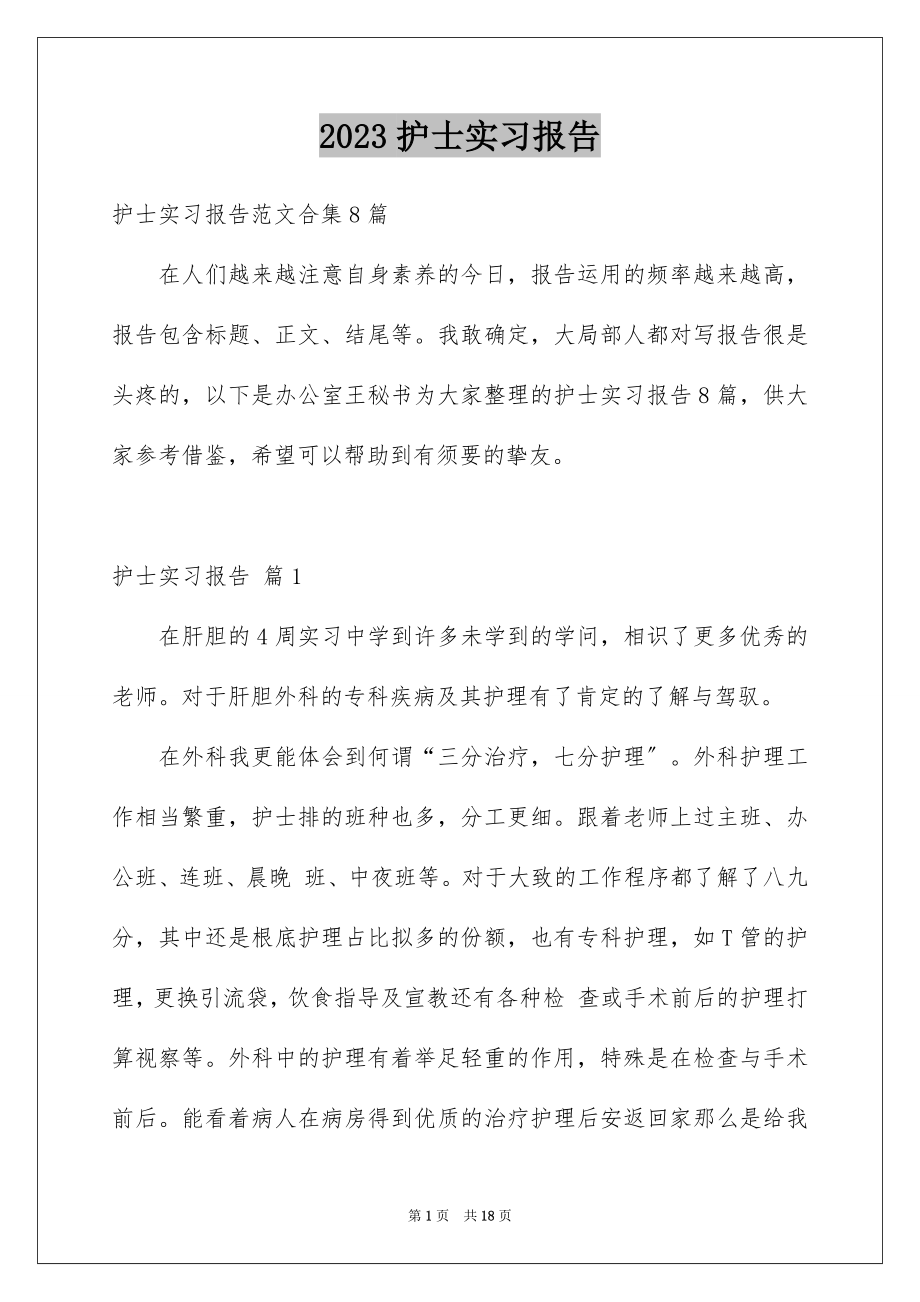 2023护士实习报告2范文.docx_第1页