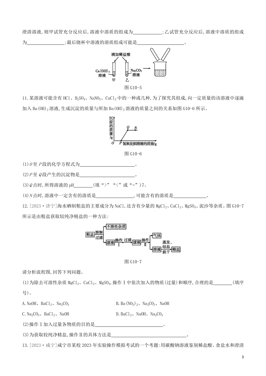 福建专版2023学年中考化学复习方案专项10酸碱盐之间的鉴别共存及转化试题.docx_第3页