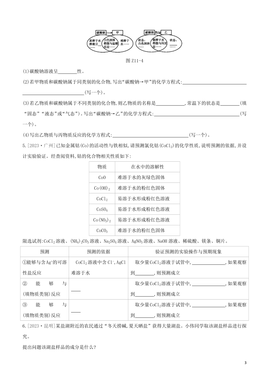 福建专版2023学年中考化学复习方案课时训练11盐和化肥试题.docx_第3页