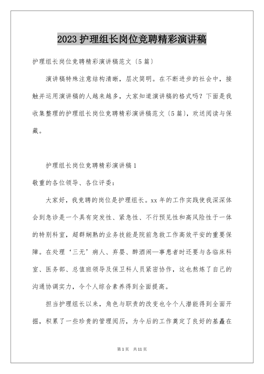 2023护理组长岗位竞聘精彩演讲稿范文.docx_第1页