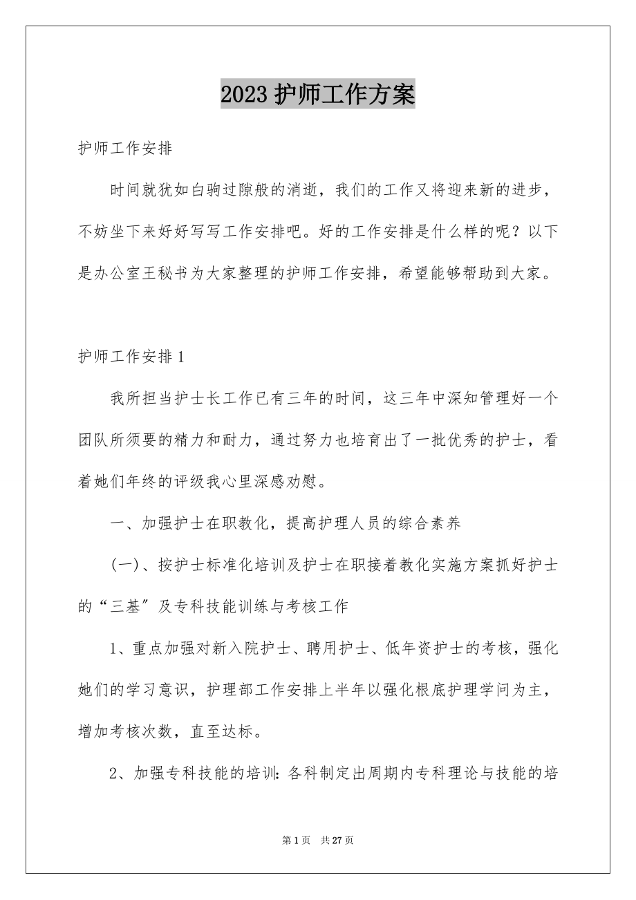 2023护师工作计划2范文.docx_第1页