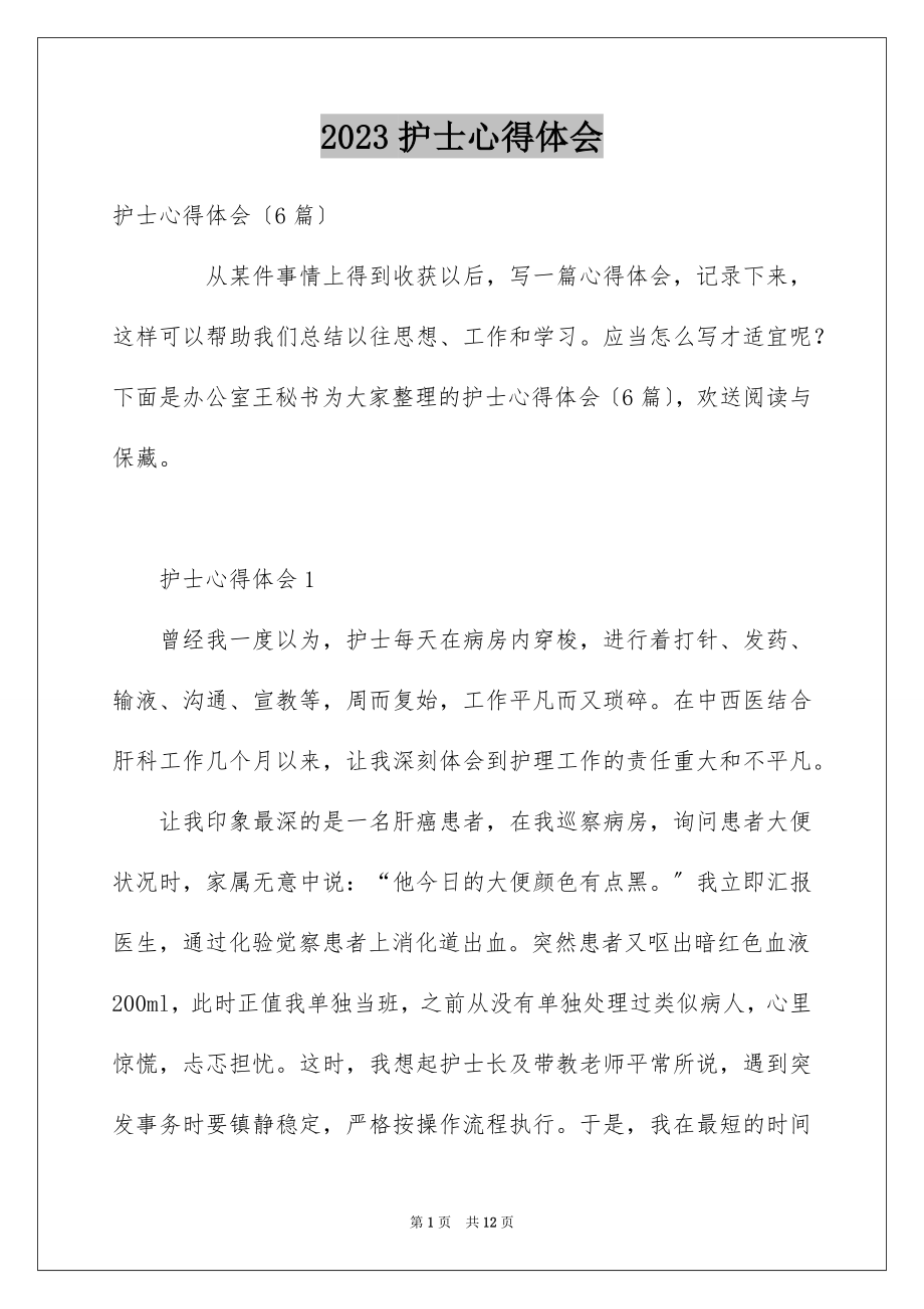 2023护士心得体会范文.docx_第1页