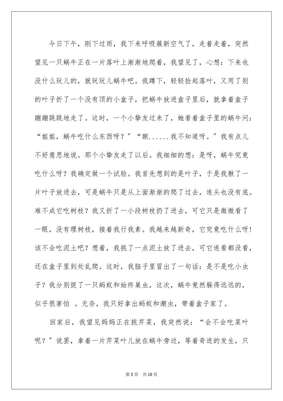 2023年发现作文600字1.docx_第3页