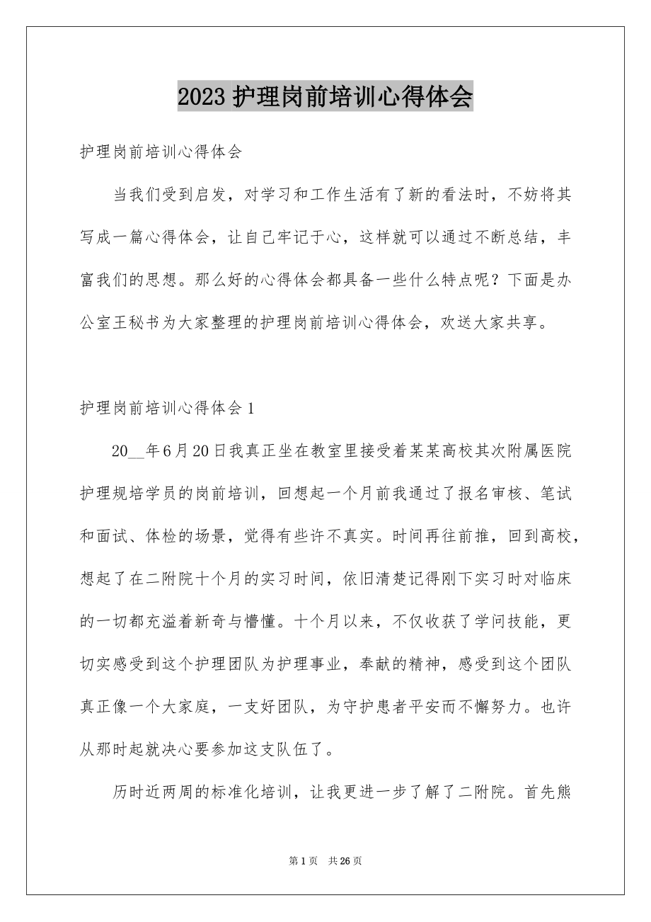 2023护理岗前培训心得体会范文.docx_第1页