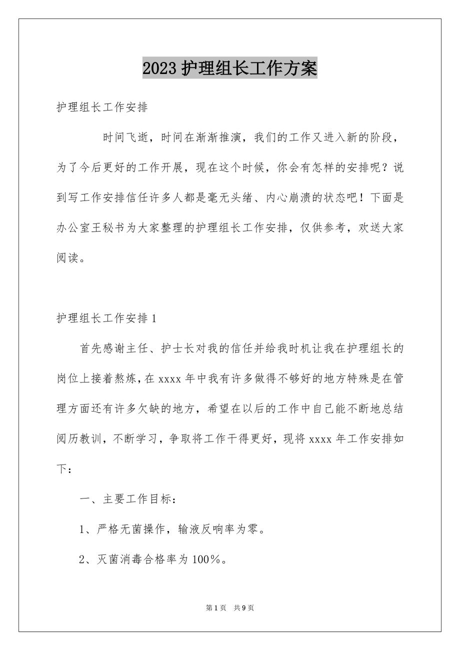 2023护理组长工作计划范文.docx_第1页